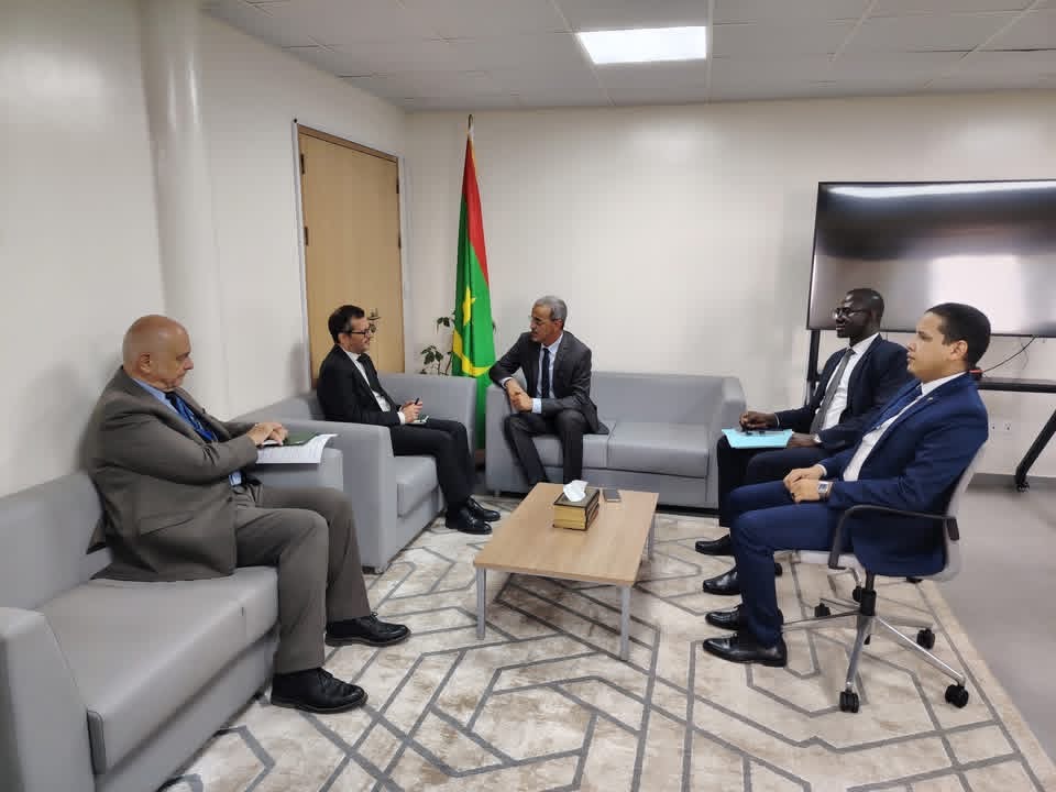 وزير المعادن يبحث مع السفير الفرنسي سبل التعاون لتطوير الاستثمارات و الصناعات التحويلة